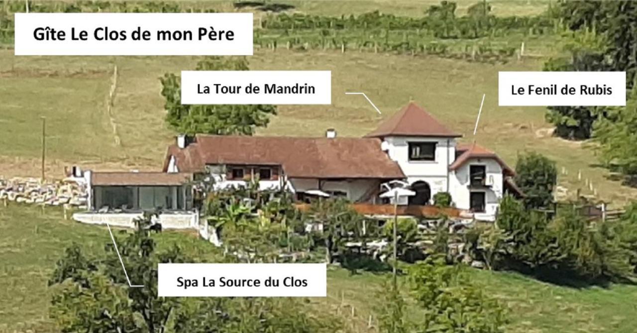 Gite & Spa Le Clos De Mon Pere Rochefort  المظهر الخارجي الصورة